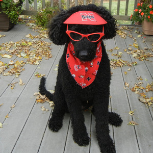 Team Page: Roscoe's Pals